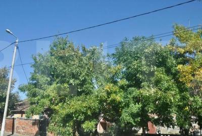 Casă cu 2 camere cu Teren 550 Mp în Fratelia - 2