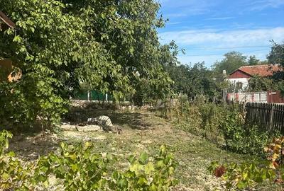 Casă cu 2 camere în Zărnești - 3
