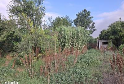 Teren de 4000 mp, în Grădina - 2