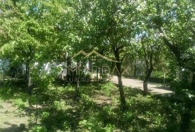 Vila 9 camere***gradina cu pomi fructiferi//1085 mp teren***Dragomiresti-Deal - 15