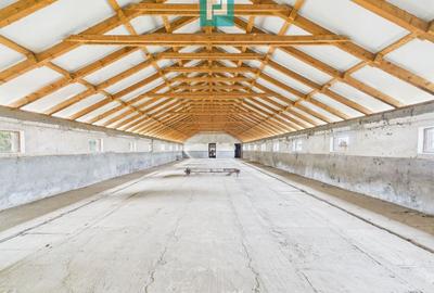 Spațiu industrial, de 765 mp, în Variaș - 1
