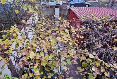 Casa 4 camere + curte | Mobilata si Utilata | Ready to Move In | Comision 0 - 21