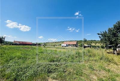 Casa in Sibiu - Vurpar - 2 constructii in curte - Gradina mare - 12