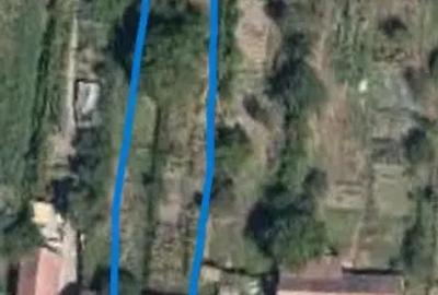 Locuin?a ideala pentru via?a rurala sau turism Dane?, Mure? - 2