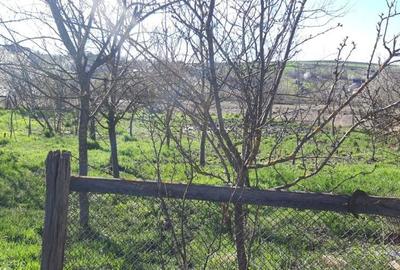 Casă cu 4 camere cu Teren 3400 Mp în Central - 6