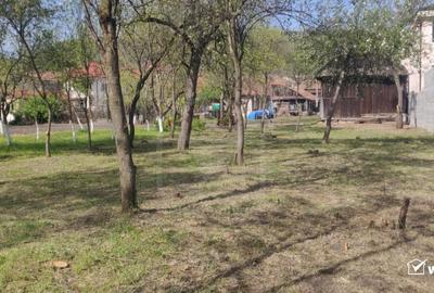 Teren Construcții intravilan de 2034 mp, în Baciu - 2