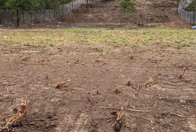 Spațiu comercial, în Chicerea - 1