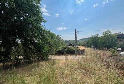 Teren Construcții intravilan de 992 mp, în Betfia