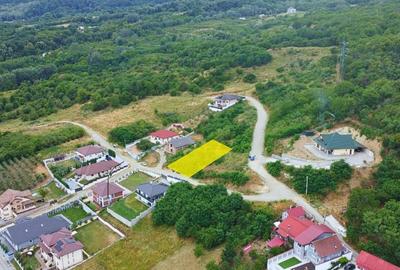 TEREN INTRAVILAN - RM. VALCEA - 10