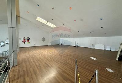 Hala/Showroom 1400mp Calea Moldovei - 10