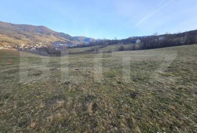 Teren de 16667 mp, în Abrud-Sat - 4