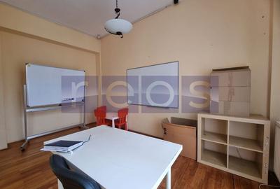 DE INCHIRIAT VILA  D+P+1+2 + CURTE | ZONA PARCUL CAROL - 21