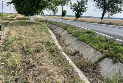 Teren de 28100 mp, în Gepiu - 2