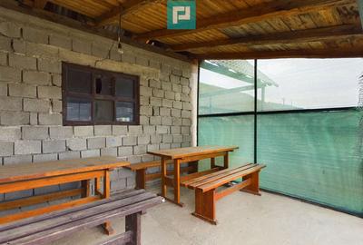 Casă cu 3 camere cu Teren 1656 Mp în Dezna - 7