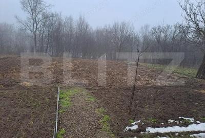 Casă cu Teren 1600 Mp în Central - 8