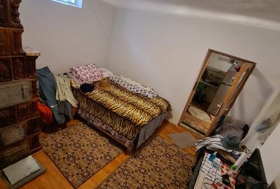 Casa individuala/sat Dobreni comuna Varasti - 6