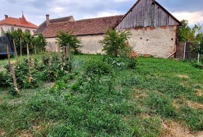 Casa 3 camere suprafata utila 80mp,si teren 960mp, spre vanzare in Sacel - 10