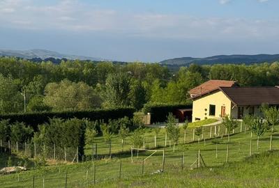 Casă individuală cu 5 camere cu Teren 1591 Mp în Ciugud - 3