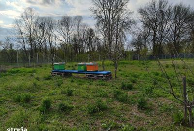 Casă cu 5 camere cu Teren 4000 Mp în Florești - 2