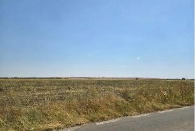 Teren de 4300 mp, în Smârdioasa - 9