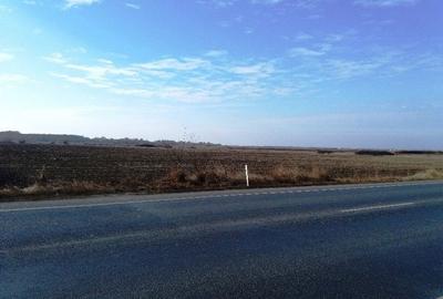 Teren de 63000 mp, în Lugojului - 5