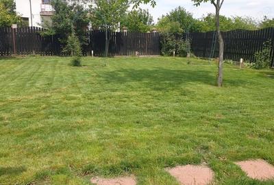 Casă cu 4 camere cu Teren 1000 Mp în Țegheș - 2