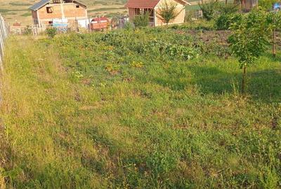 Casă cu 2 camere în Șura Mare - 3