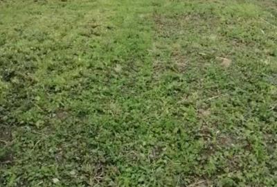Casă în Căscioarele - 2