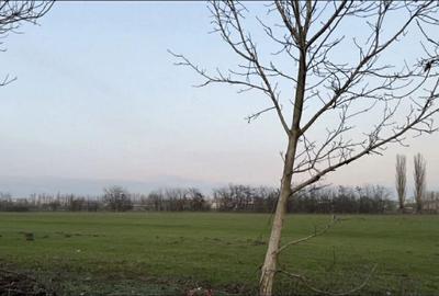 Spațiu comercial, în Bran - 4