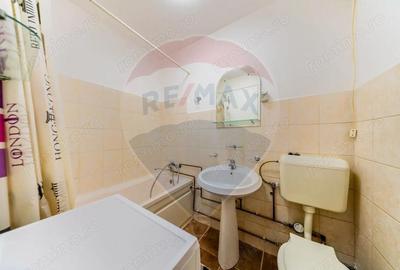 Apartament cu o camera in zona Parneava - 8