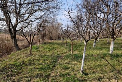 Teren Construcții intravilan de 1059 mp, în Roman - 5