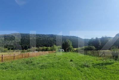 Teren Plaiul Foii, vedere spre muntii Bucegi si apa Barsa 10 - 6