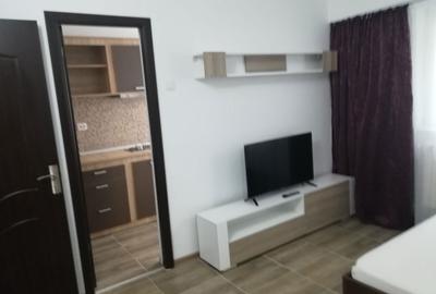 Garsonieră decomandată în Lacu - 1