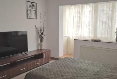 Garsonieră semidecomandată, mobilată în Nicolae Grigorescu - 2