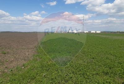 Teren Construcții intravilan de 5460 mp, în Stupini - 13