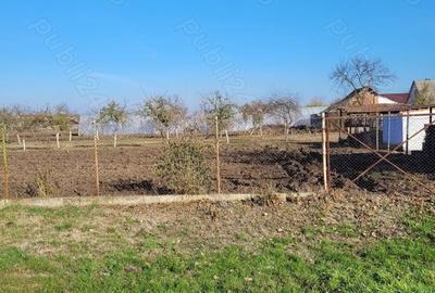 Teren de 1414 mp, în Sânpetru Mare - 9