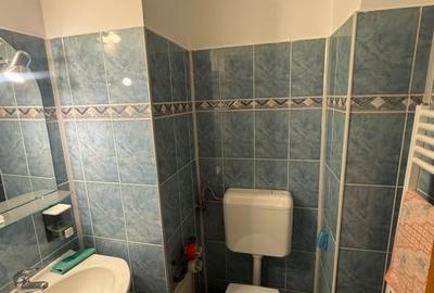 Apartament cu 3 camere decomandat în Decebal - 6