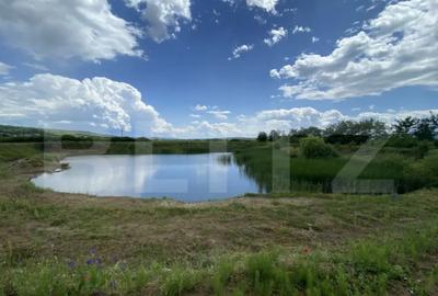 Teren de 10000 mp, în Șărmășag - 1