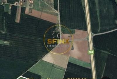 Teren intravilan Branesti 27000 mp km 12 Autostrada A2 - 1