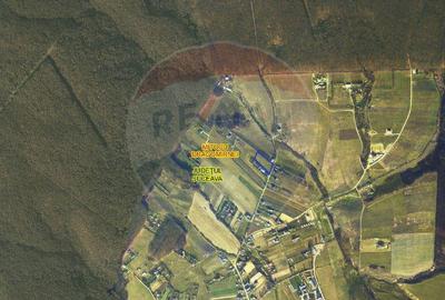 Teren 4,610mp Mitocu Dragomirnei - 2