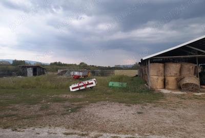 Ferma de inchiriat teren 21.000 mp, utilita?i complete pt activitate agricola si sau logistica - 12