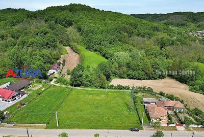 AZURA Imobiliare - Teren Babana Central la Asfalt - 3