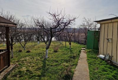 Teren Construcții intravilan de 1059 mp, în Roman - 12