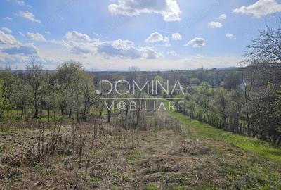 Vanzare teren 4606 mp - Sat Balta - Runcu - la aproximativ 20 km de Targu Jiu - 2