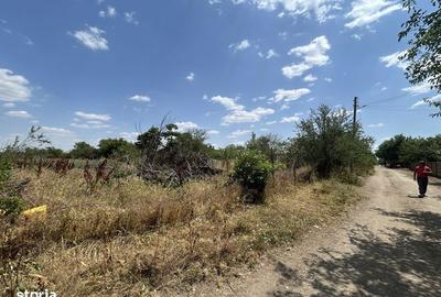 Teren de 1000 mp, în Salcia - 2