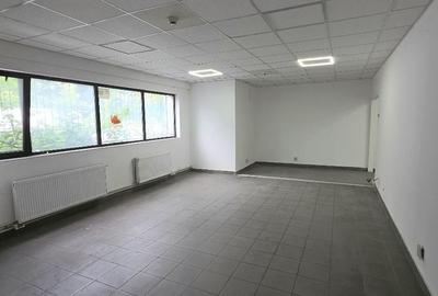 Spațiu industrial, de 550 mp, în Theodor Pallady - 3
