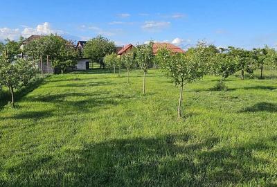 Spațiu comercial, în Central - 2