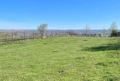 Spațiu comercial, în Ipotești - 7