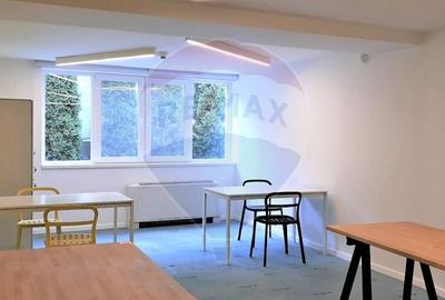 Birou, de 13 mp, în Zorilor - 5