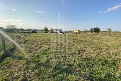 Teren intravilan 604 mp de vânzare - Șura Mică, Sibiu - 8